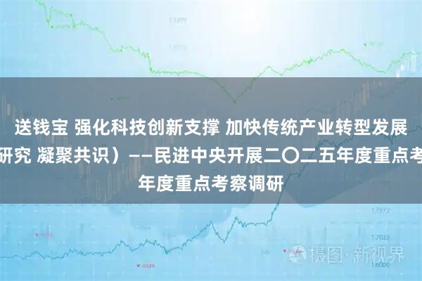 送钱宝 强化科技创新支撑 加快传统产业转型发展（调查研究 凝聚共识）——民进中央开展二〇二五年度重点考察调研