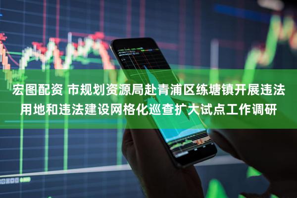 宏图配资 市规划资源局赴青浦区练塘镇开展违法用地和违法建设网格化巡查扩大试点工作调研